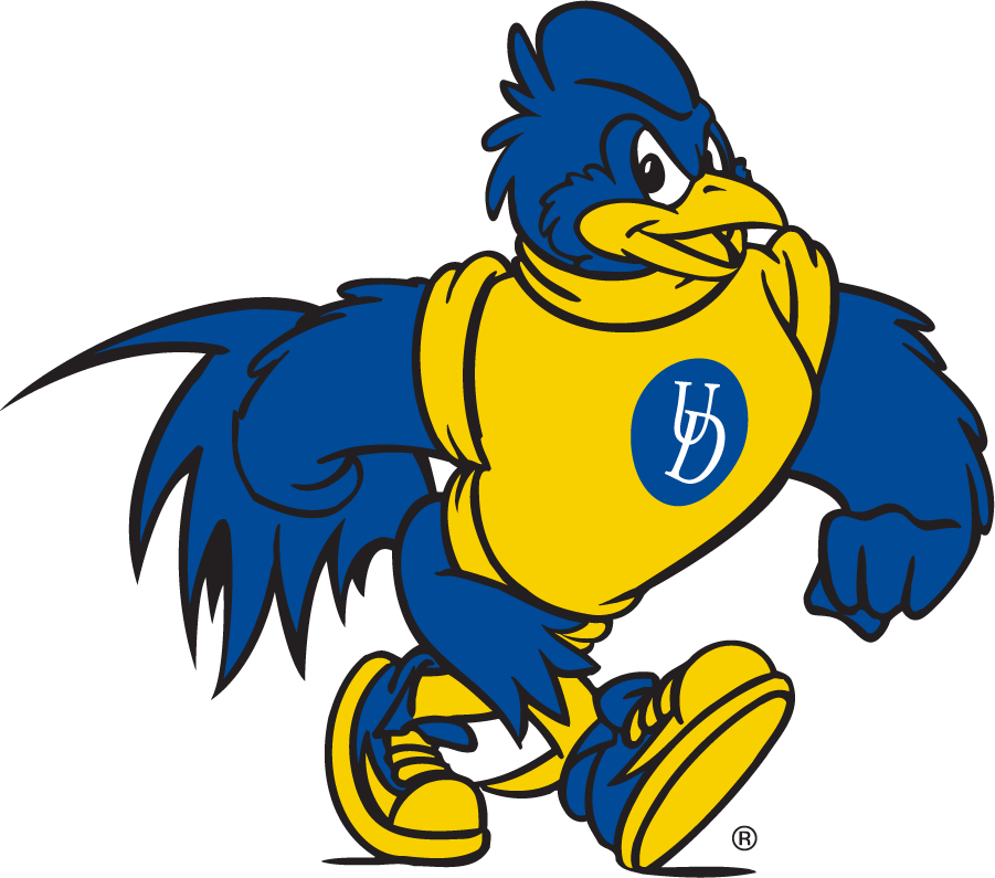 Delaware Blue Hens 2018-Pres Mascot Logo v3 diy iron on heat transfer